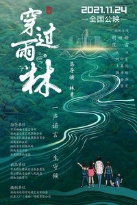 穿过雨林 (2021)