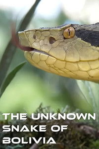 copertina serie tv The+Unknown+Snake+of+Bolivia 2018
