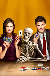 Постер сериала «Кости (2005 - 2017)» — (60 из 181)