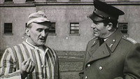 «Невесты-вдовы (1964)» — обои к фильму #1
