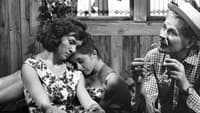 «Dobrá rada pana Bartose (1965)» — обои к фильму #1