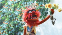 «The Muppets Mayhem (2023)» — обои к сериалу #1