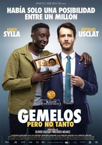 Poster de Jumeaux mais pas trop