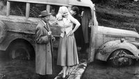 The Wayward Bus