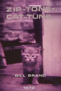 Zip-Tone-Cat-Tune