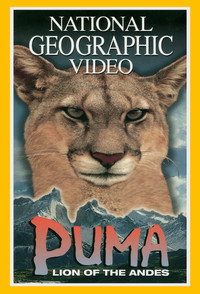 Постер фильма «Пумы: Львы Анд (1996)» — (2 из 2)
