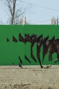 Imagem do Filme Playgrounds In Motion