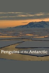 Penguins of the Antarctic (2006)