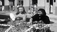 Обои к фильму «Сын Хамиду (1957)» — (33 из 54)