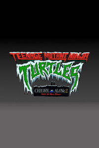 Teenage Mutant Ninja Turtles: Chrome Alone 2 - Lost in New Jersey