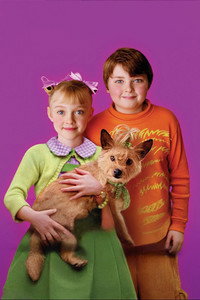 Постер фильма «Кот (2003)» — (13 из 58)