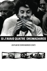 Si j'avais quatre dromadaires (1966)