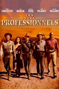 Les Professionnels (1966)