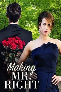 Poster de Making Mr. Right