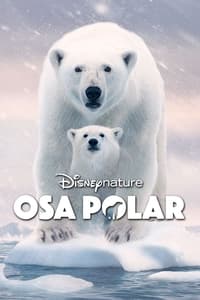 Poster de Osa Polar