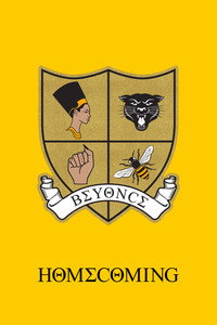 Постер фильма «HOMECOMING. Фильм Beyoncé (2019)» — (9 из 32)