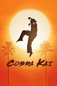 Постер сериала «Кобра Кай (2018-2025)» — (31 из 146)