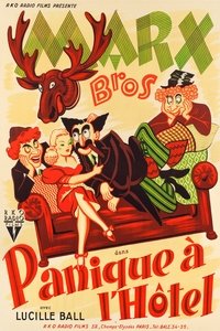 Poster de Panique à l'hôtel