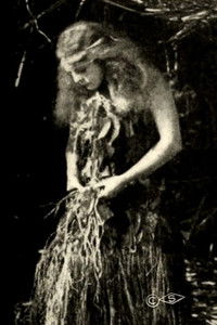 Poster de The Royal Slave