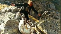 Knut Formos Siste Jakt