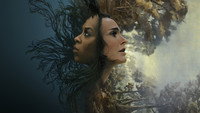 «Женщина в озере (2024)» — обои к сериалу #9