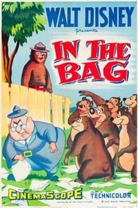 Poster de In the Bag
