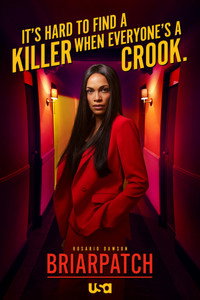 Постер сериала «Терновый куст (2020)» — (5 из 19)