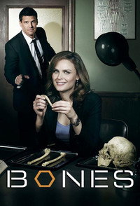 Постер сериала «Кости (2005 - 2017)» — (12 из 181)