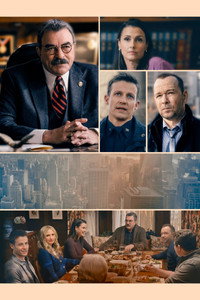 Постер сериала «Голубая кровь (2010 - 2024)» — (22 из 149)