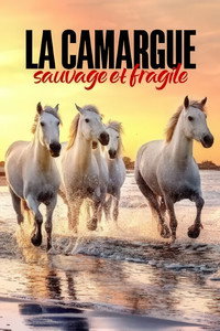La Camargue : sauvage et fragile (2022) subtitle poster