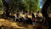 «Farpões, baldios (2017)» — обои к фильму #1