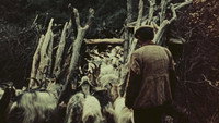 «Pastori di Orgosolo (1958)» — обои к фильму #1