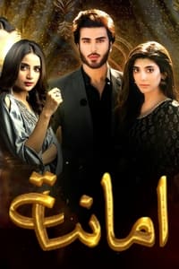 tv show poster Amanat 2021