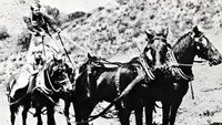 «The Arizona Whirlwind (1927)» — обои к фильму #1