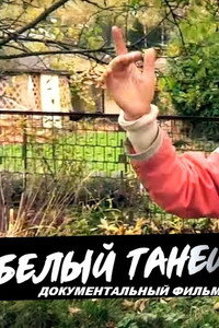 Постер фильма «Белый танец (2013)» — (1 из 1)
