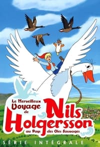 Le Merveilleux Voyage de Nils Holgersson au pays des oies sauvages (1980)