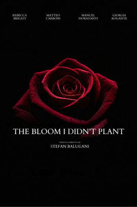 The Bloom I Didn't Plant