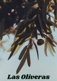 Imagem do Filme Las Oliveras