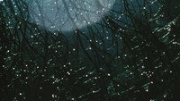 «Compline (2009)» — обои к фильму #5