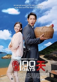 真愛100天 (2013)