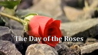 «The Day of the Roses (1998)» — обои к сериалу #1