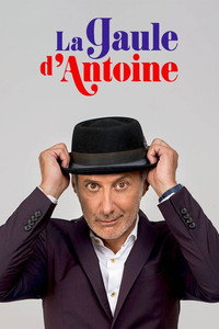 Постер сериала «La Gaule d'Antoine (2017)» — (2 из 3)