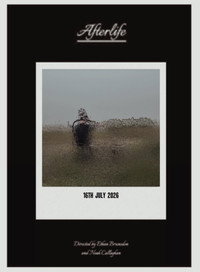 Afterlife (2026) poster