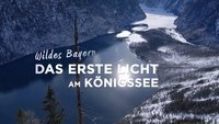Das erste Licht am Königssee