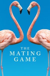 copertina serie tv The+Mating+Game 2021