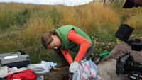 Caribou Down