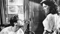 «Крик загнанного (1953)» — обои к фильму #2
