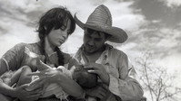 «Три колумбийских истории (1962)» — обои к фильму #1