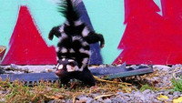 Bizarre Breeding