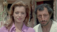 «La via dei babbuini (1974)» — обои к фильму #5